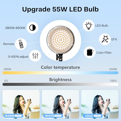 Softbox Photography Lighting Kit (2 Count)