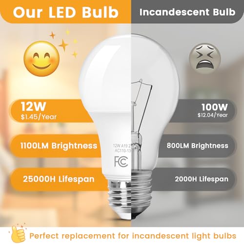 A19 LED Light Bulbs (8 Count)