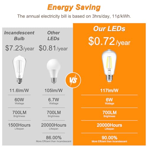 Vintage LED Edison Bulbs (12 Count)