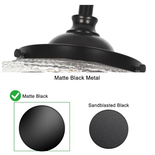 Black 3 Light Pendant Light with 12in Glass Shade