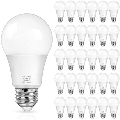 A19 LED Light Bulbs (30 Count)