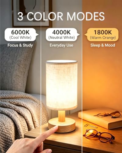 Mini Rechargeable Cordless Table Lamp