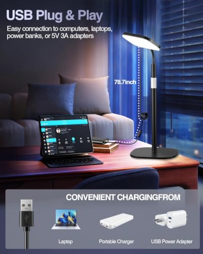 Desktop Zoom Meeting Streaming Key Light with Flexible Gooseneck