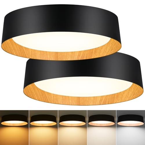 Flush Mount Ceiling Light