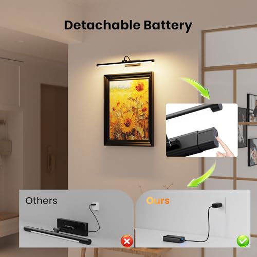 2 Pack Light for Pictures on Wall Black 8000mAh (2 Count)