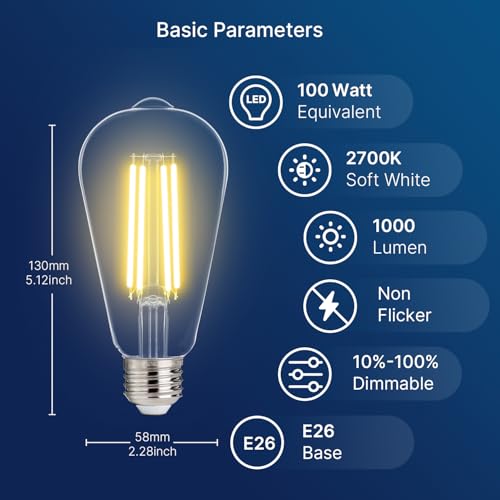 100W Equivalent LED Edison Bulbs (4 Count)