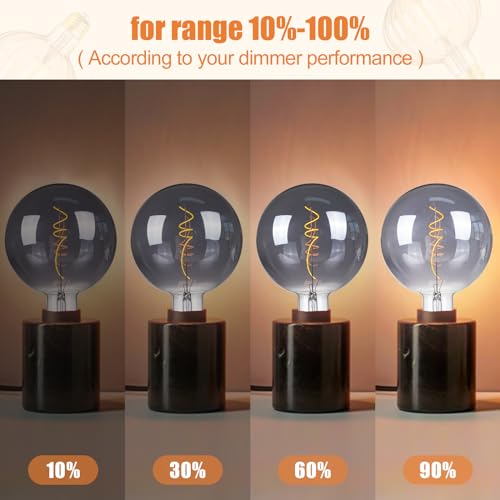 G200 Oversized LED Edison Light Bulb Dimmable 5W 200lm E26 2200K 1PC