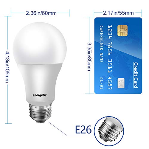 Energetic 24 Pack A19 LED Light Bulb (24 Count)