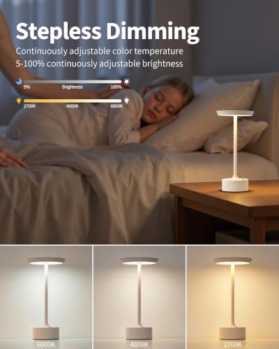 Rechargeable Table Lamps Set of 2 (2 Count)