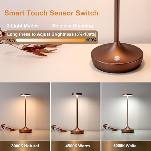 2 Pack Rechargeable Cordless Table Lamps 6000mAh LED Battery Table Light
