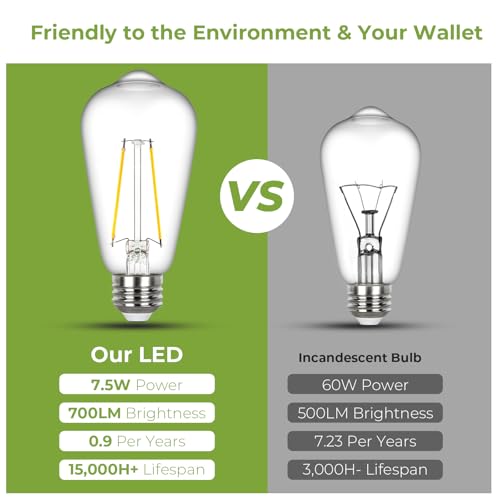 LED Edison Bulb 60 watt Equivalent (12 Count)