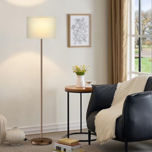 60'' Modern Floor Lamp with Shade