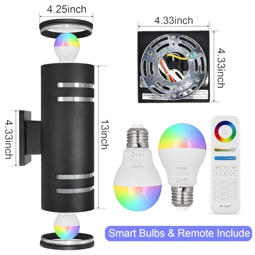 RGB Outdoor Wall Lights
