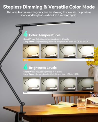 LED Desk Lamp with Clamp