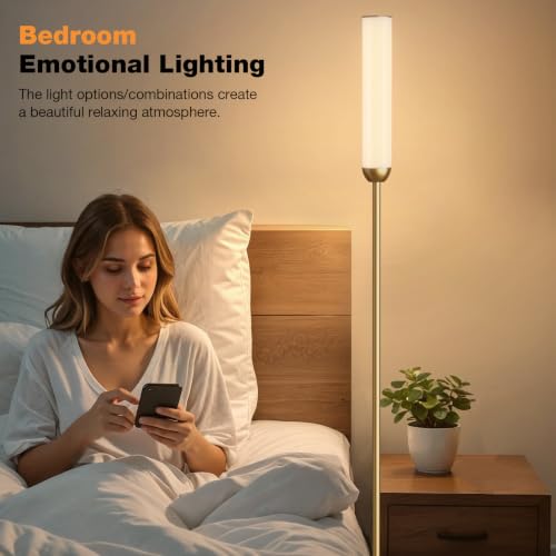 LED Floor Lamp with Remote Control