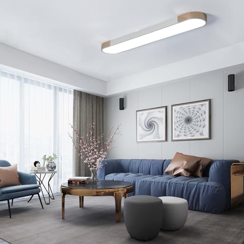 Modern LED Ceiling Light
