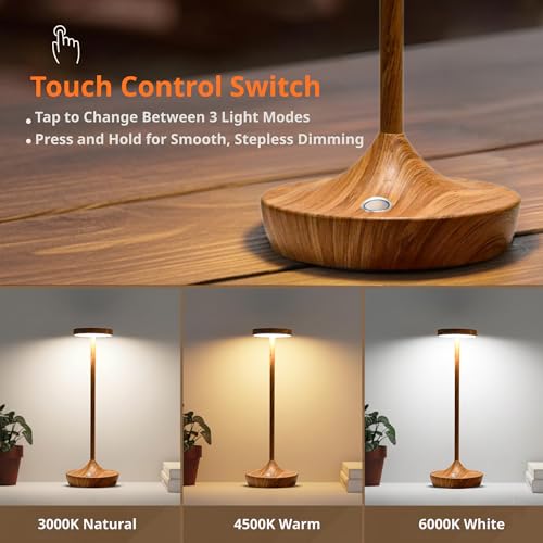 2 Pack Cordless Table Lamps