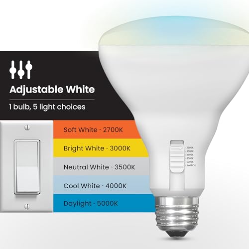 BR30 LED Light Bulbs (2 Count)