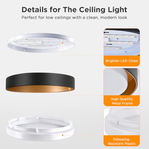 Flush Mount Ceiling Light (Matte Black)