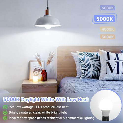 4 Pack A19 LED Light Bulbs (4 Count)