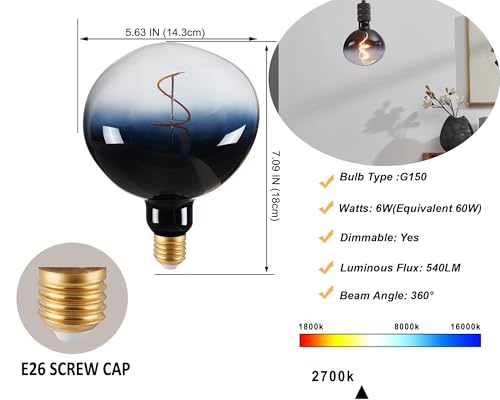 G150 Oversized Large Edison LED Bulb