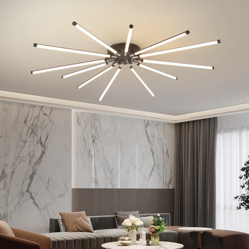 Modern LED Ceiling Light
