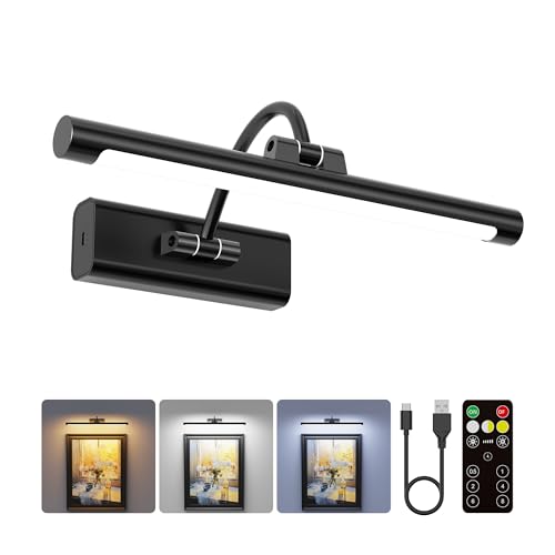 Rechargeable Light for Picture