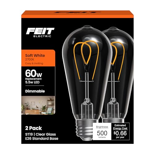 ST19 LED Vintage Light Bulb (2 Count)