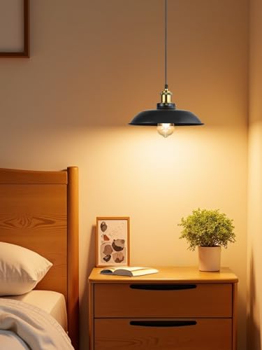 2 Pack Black Farmhouse Pendant Ceiling Light