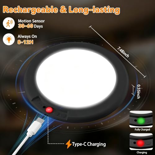 2Pack Rechargeable LED Ceiling Light (2 Count)