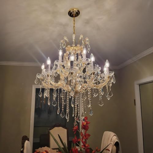 Modern Gold Chandelier Light Fixture