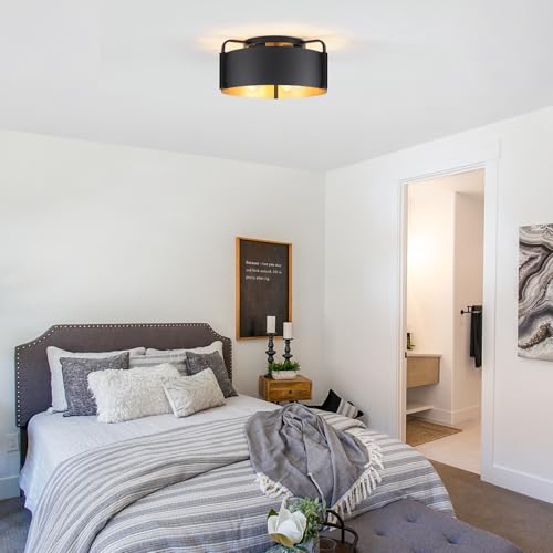 Flush Mount Ceiling Light