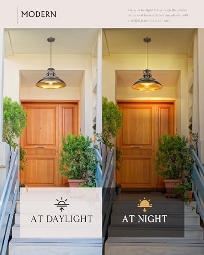 18" Outdoor Pendant Lights for Porch