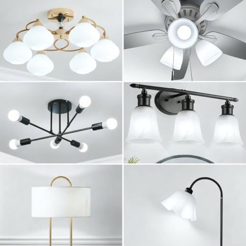 A19 LED Light Bulbs (24 Count)