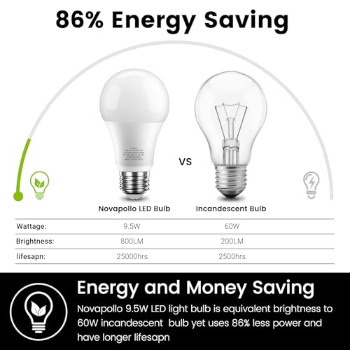 LED Light Bulbs (6 Count)