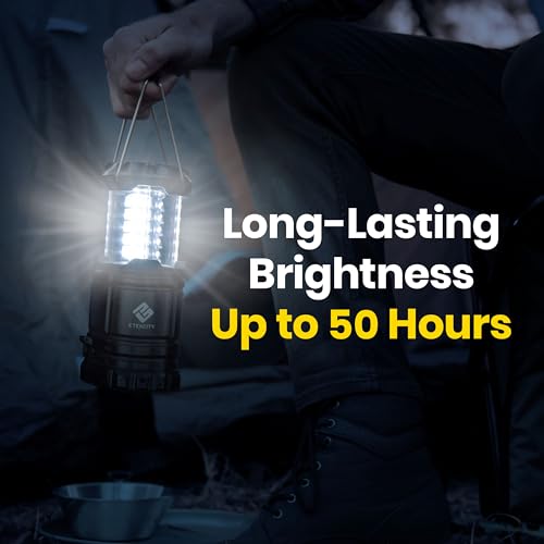 LED Camping Lanterns (2 Count)