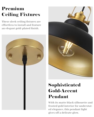 Black and Gold Pendant Light