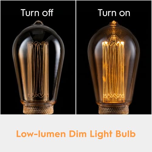 Vintage Edison Light Bulb Decorative Dimmable LED Bulb Amber ST64