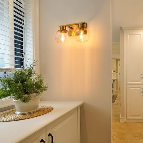 2 Pack Clear Glass Shades Covers (2 Count)