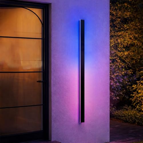 Outdoor Wall Sconce