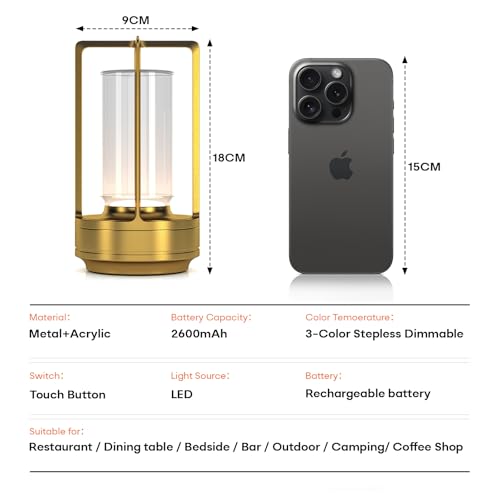 Portable Metal Table Lamp for Indoor