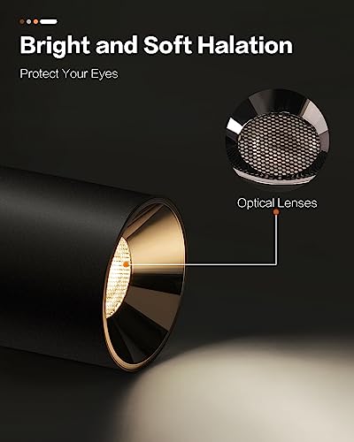 Modern LED Ceiling Light Fixture Flush Mount COB 20W 4000K Cylinder Ceiling Lights