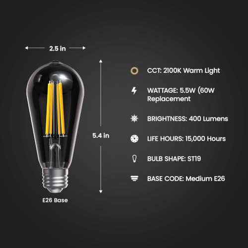 Vintage Exposed Straight Filament Clear Glass LED ST19 (8 Count)