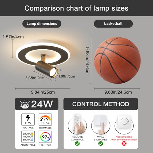 Modern LED Ceiling Lights with 1 Spotlight 9.8Inch Black Ceiling Light with Remote Control Dimmable 3000k