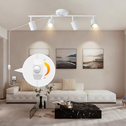 Dimmable Plug in Track Lighting