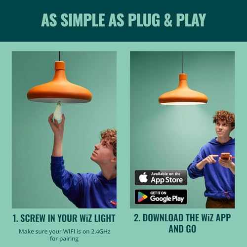 Smart Light Bulbs (3 Count)