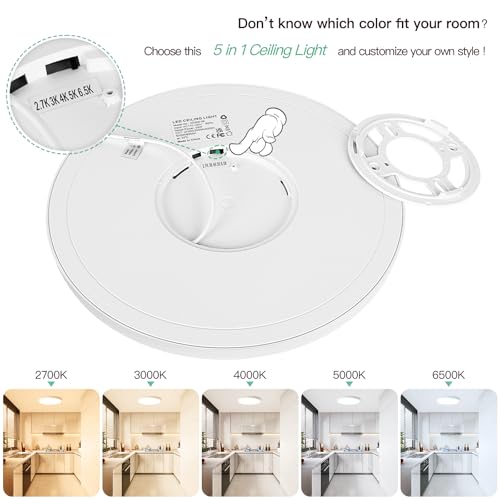12 Inch LED Flush Mount Ceiling Light Fixture