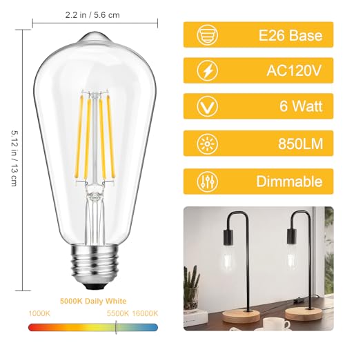 Vintage LED Edison Bulbs 6W Equivalent 60W (6 Count)