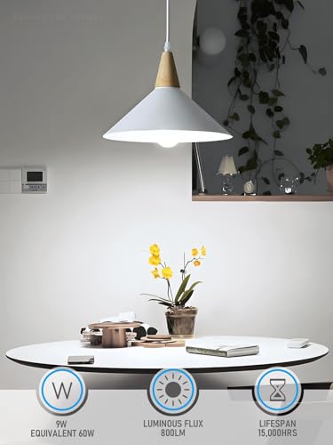 6 Pack A19 LED Light Bulb 60W Equivalent (6 Count)