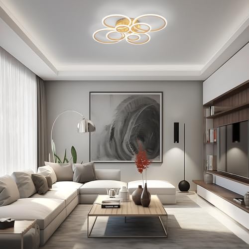 Modern LED Ceiling Light